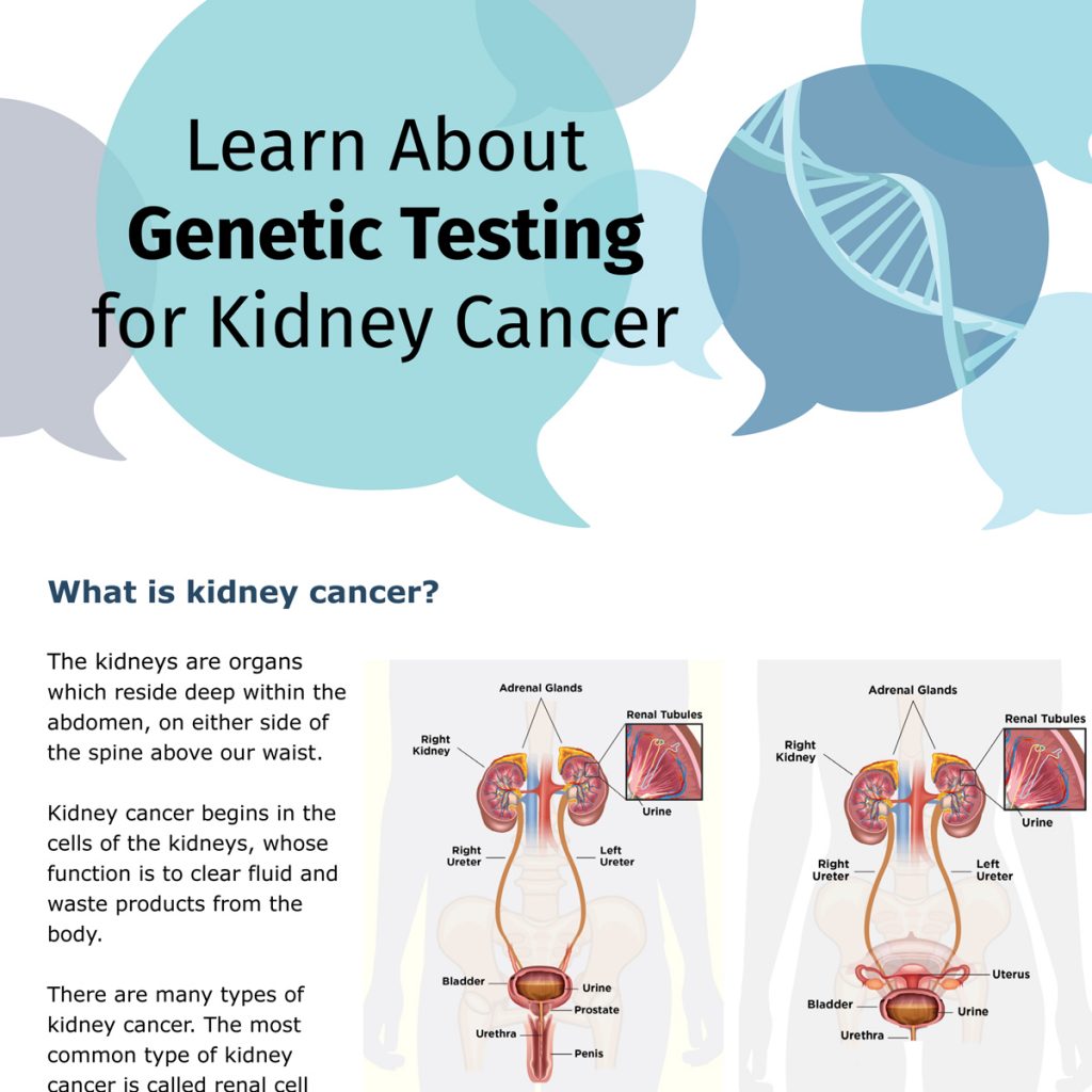 Learn about genetic testing for kidney cancer