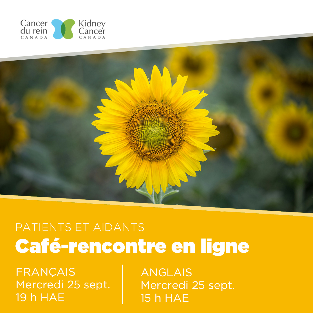 French language info