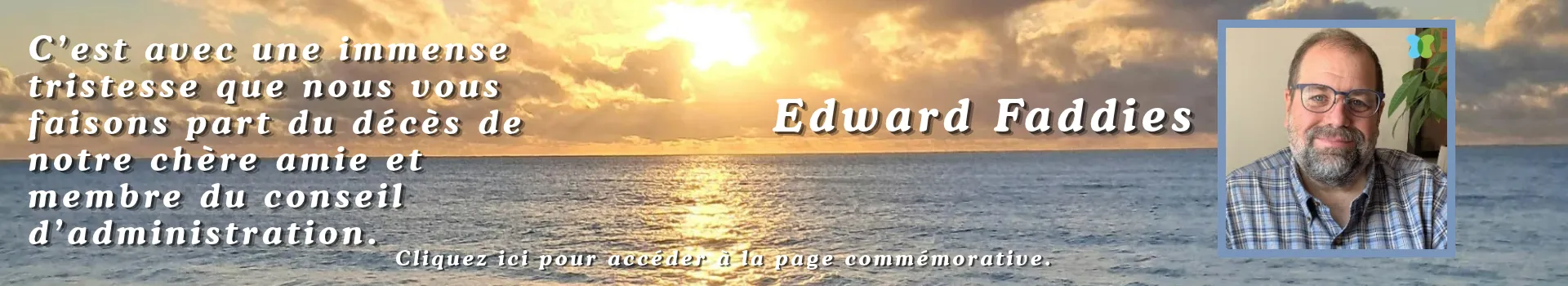FR ed faddies banner